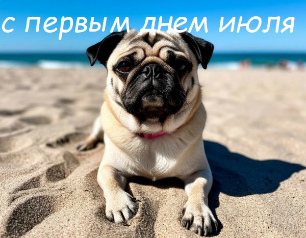 картинки с первым днем июля