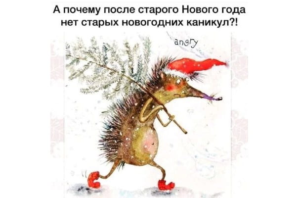 старый новый год 2027 прикольная картинка